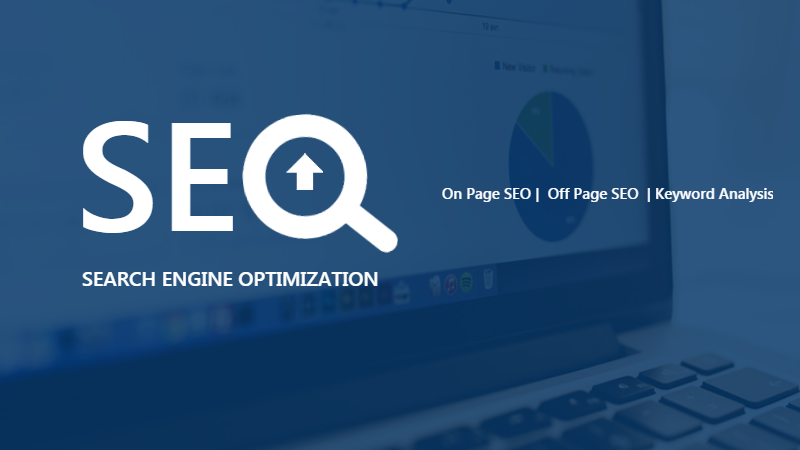 SEO Services in ahmedabad.png