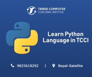python-language