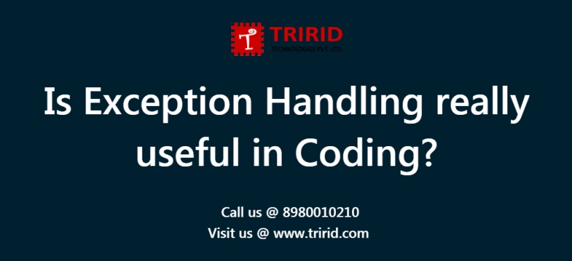 exception handling at tririd