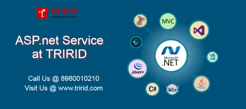 ASP.net-service-tririd