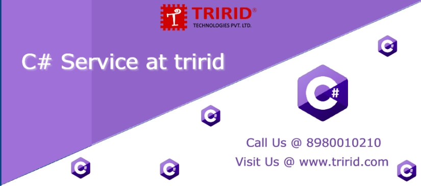 C#-service-tririd